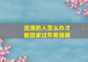 流浪的人怎么办才能回家过年呢视频