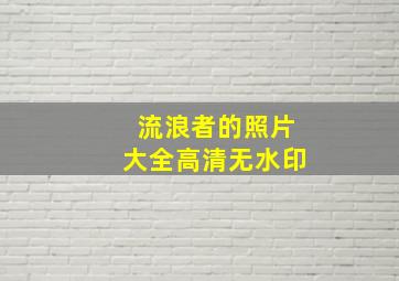 流浪者的照片大全高清无水印