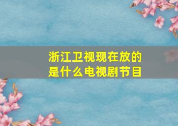 浙江卫视现在放的是什么电视剧节目