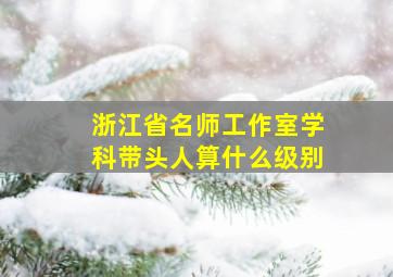 浙江省名师工作室学科带头人算什么级别