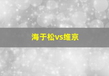 海于松vs维京