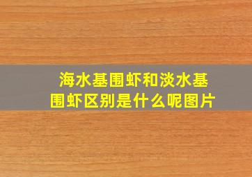 海水基围虾和淡水基围虾区别是什么呢图片