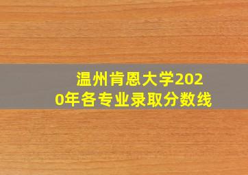 温州肯恩大学2020年各专业录取分数线