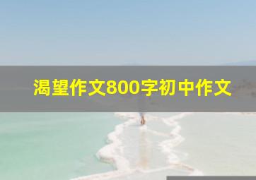 渴望作文800字初中作文