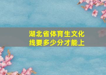 湖北省体育生文化线要多少分才能上