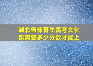 湖北省体育生高考文化课需要多少分数才能上