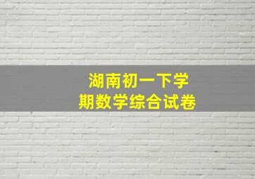 湖南初一下学期数学综合试卷