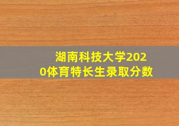 湖南科技大学2020体育特长生录取分数