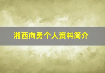 湘西向勇个人资料简介