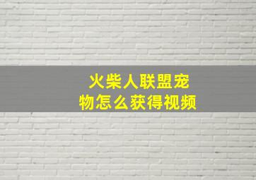 火柴人联盟宠物怎么获得视频