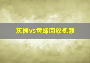 灰熊vs黄蜂回放视频