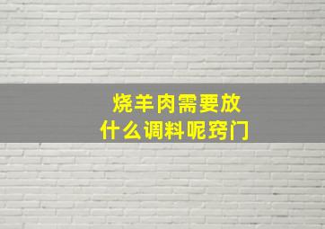 烧羊肉需要放什么调料呢窍门