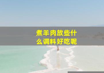 煮羊肉放些什么调料好吃呢