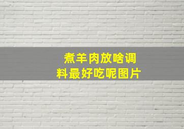 煮羊肉放啥调料最好吃呢图片