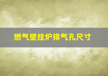 燃气壁挂炉排气孔尺寸