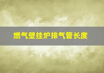 燃气壁挂炉排气管长度