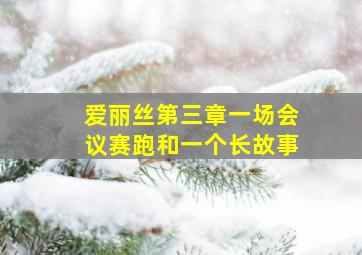 爱丽丝第三章一场会议赛跑和一个长故事