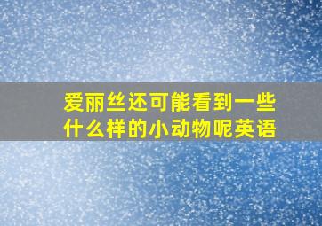 爱丽丝还可能看到一些什么样的小动物呢英语