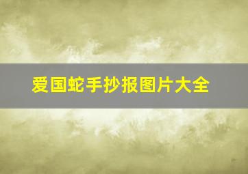 爱国蛇手抄报图片大全