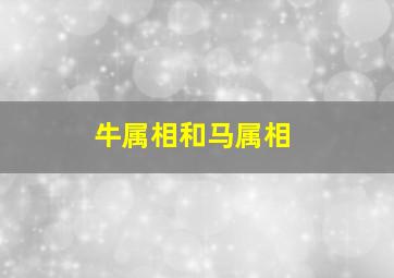 牛属相和马属相