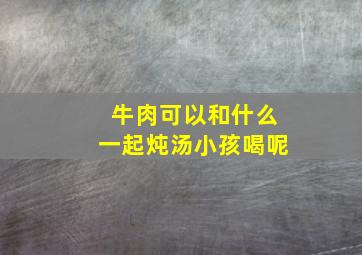 牛肉可以和什么一起炖汤小孩喝呢