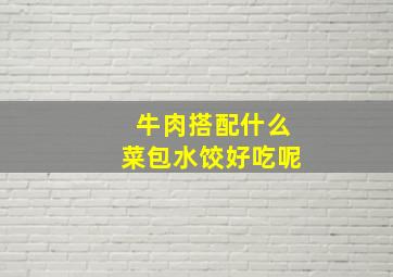 牛肉搭配什么菜包水饺好吃呢