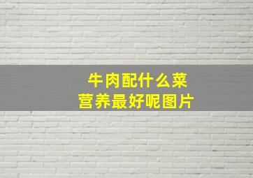 牛肉配什么菜营养最好呢图片