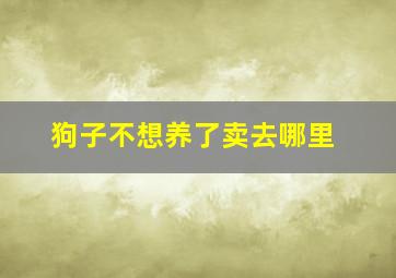 狗子不想养了卖去哪里