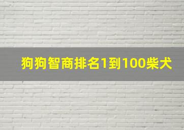 狗狗智商排名1到100柴犬