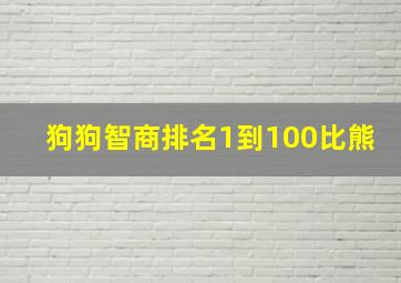 狗狗智商排名1到100比熊