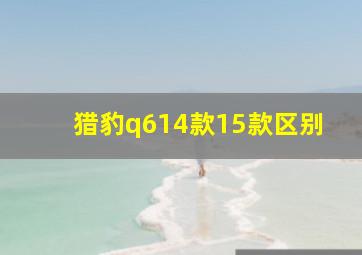 猎豹q614款15款区别