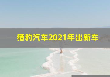 猎豹汽车2021年出新车