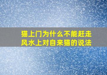 猫上门为什么不能赶走风水上对自来猫的说法