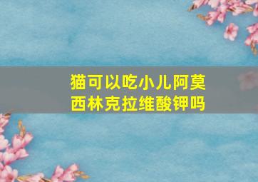 猫可以吃小儿阿莫西林克拉维酸钾吗