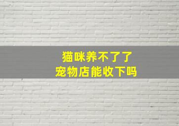 猫咪养不了了宠物店能收下吗