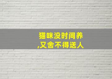 猫咪没时间养,又舍不得送人