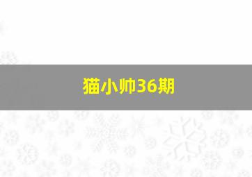 猫小帅36期