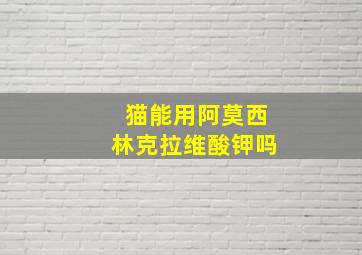 猫能用阿莫西林克拉维酸钾吗