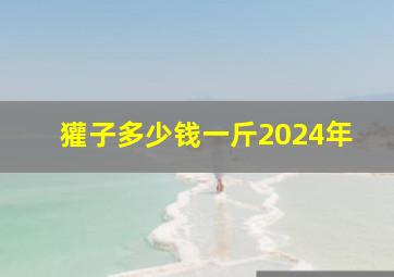 獾子多少钱一斤2024年