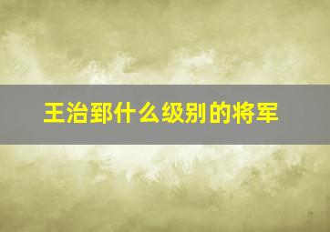 王治郅什么级别的将军