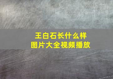 王白石长什么样图片大全视频播放