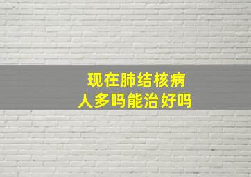 现在肺结核病人多吗能治好吗