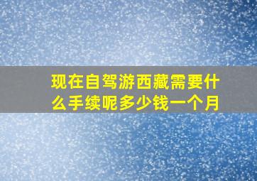 现在自驾游西藏需要什么手续呢多少钱一个月