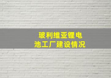 玻利维亚锂电池工厂建设情况