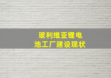 玻利维亚锂电池工厂建设现状