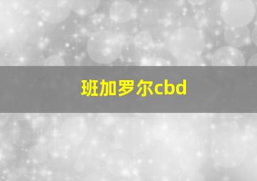 班加罗尔cbd