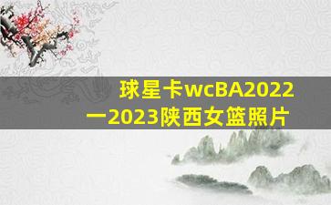 球星卡wcBA2022一2023陕西女篮照片