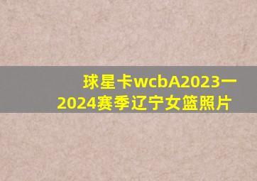 球星卡wcbA2023一2024赛季辽宁女篮照片