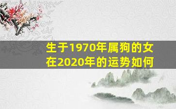 生于1970年属狗的女在2020年的运势如何