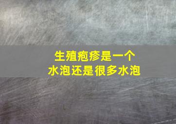 生殖疱疹是一个水泡还是很多水泡